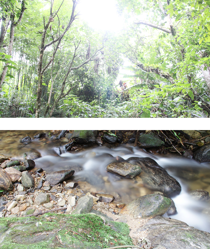 Negativo da superfície 6.jpg