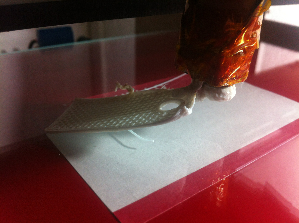 Eu, grudada em minha impressao