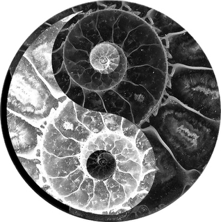 Ying yang.png